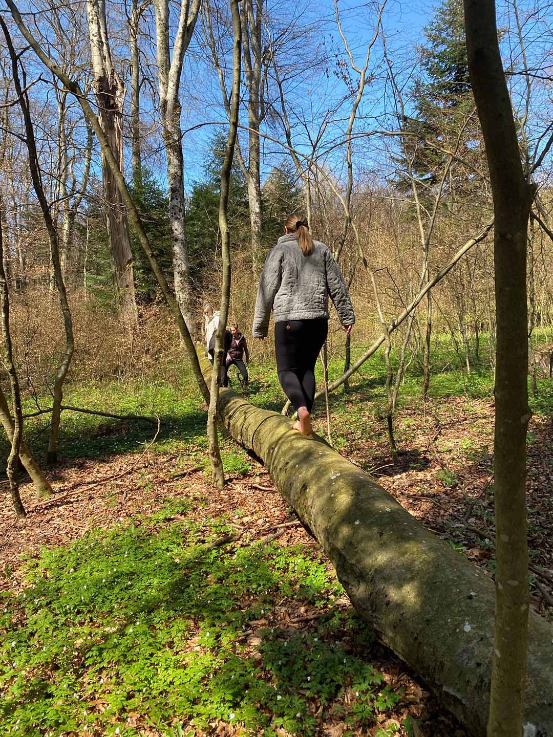 Wald fühlen © Jennifer Aimée Netzer